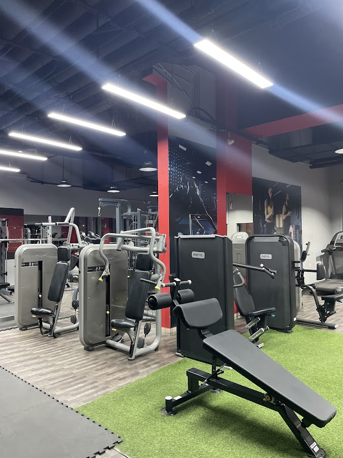 VOF Gym (Voice Of Fitness)