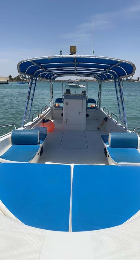 كنج فيش — photo 2