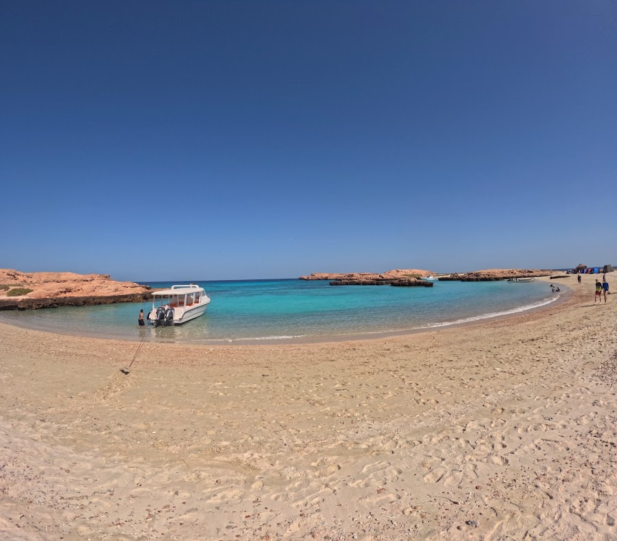 BlueWave Oman - Snorkeling & Boat Tours Muscat