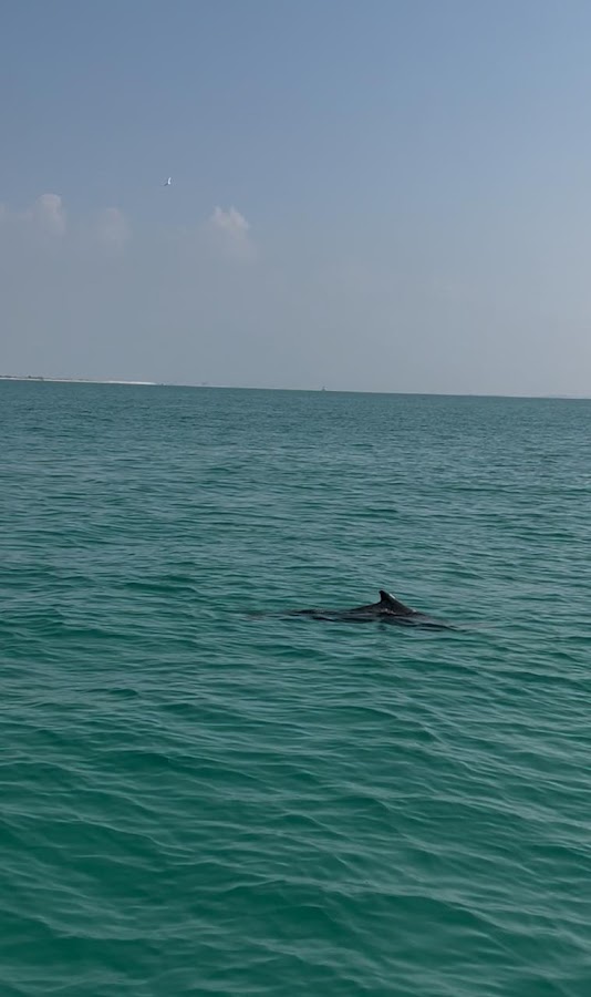 Salty Cruises — photo 2