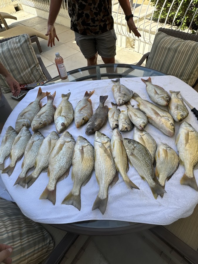 Blueline Fishing Charter Abu Dhabi — photo 2