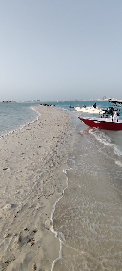 Elon yachts and boat rental — photo 3