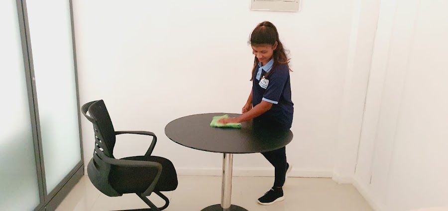 Alfa Maid Cleaning Services LLC