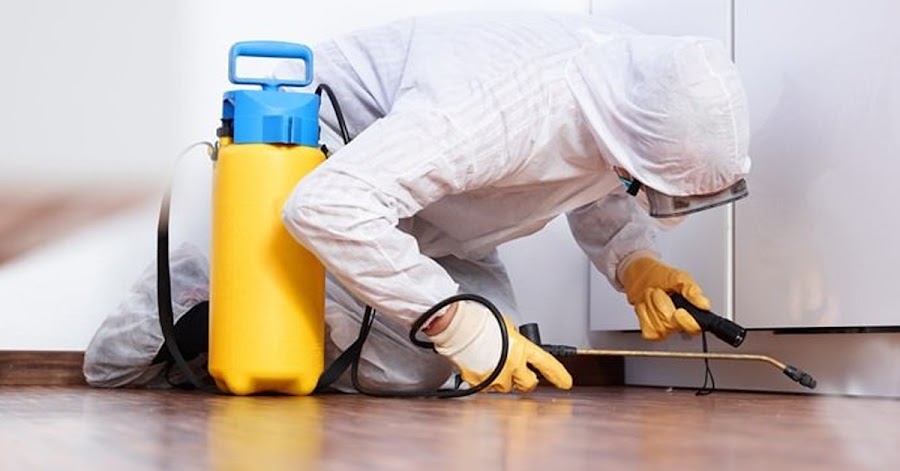 German Pest Control & Cleaning in Doha Qatar