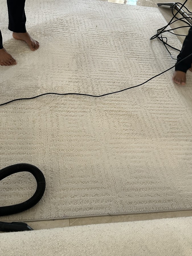 Fresho Cleaning Services — photo 2