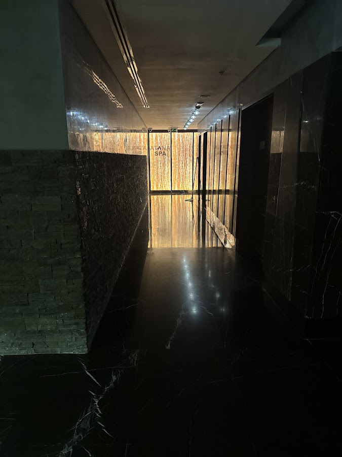 Elysium Spa - Luxury European Spa In Barsha Heights — photo 3