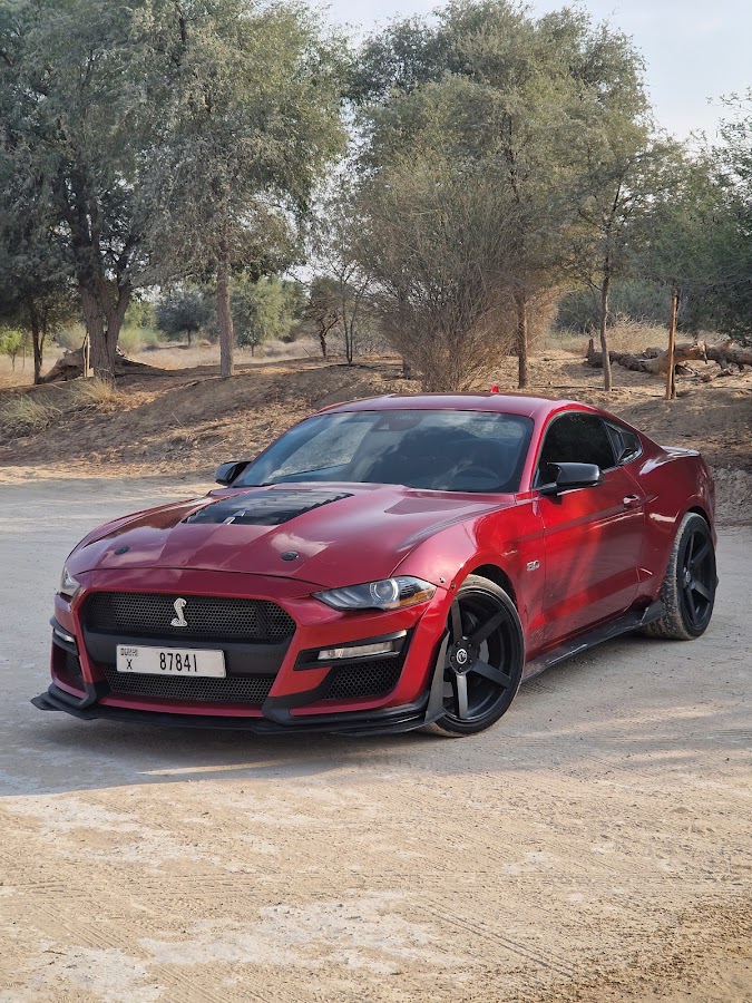 X Car Rental - Sports and Luxury Car Rental Dubai — photo 5