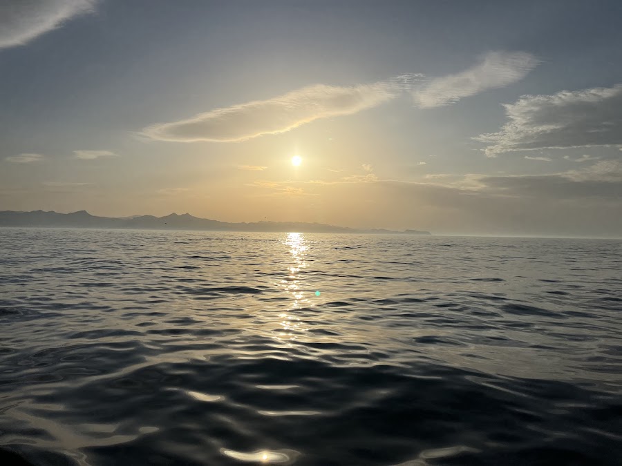 Al Sansool — photo 4