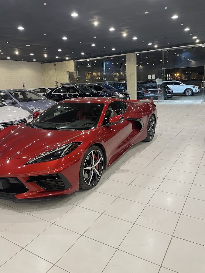 إيليت كار لتأجير السيارات — photo 5