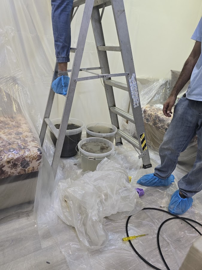 المحترفون | PROFESSIONALS — photo 5
