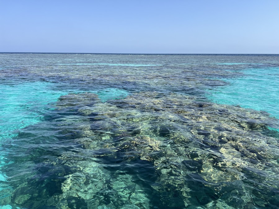 Descent Dive Club — photo 4