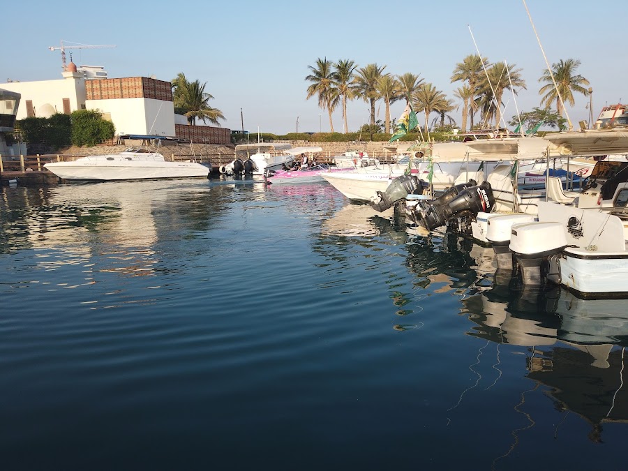 iBOAT — photo 3