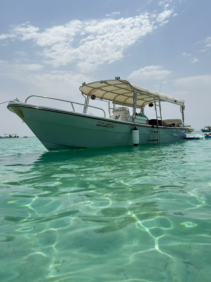 اسد البحور للرحلات البحرية Lion of the Seas Cruises