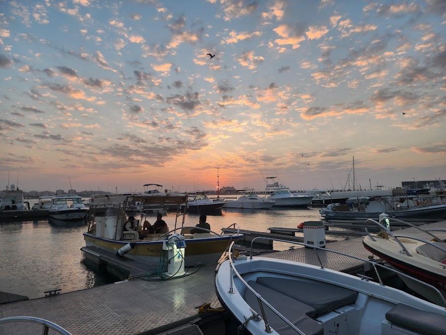 هتان مارين/ تأجير يخوت وقوارب / Yacht and boat rental‏ — photo 5