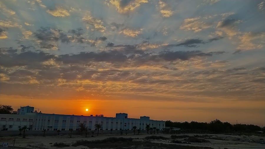 Lulwa Garden — photo 4