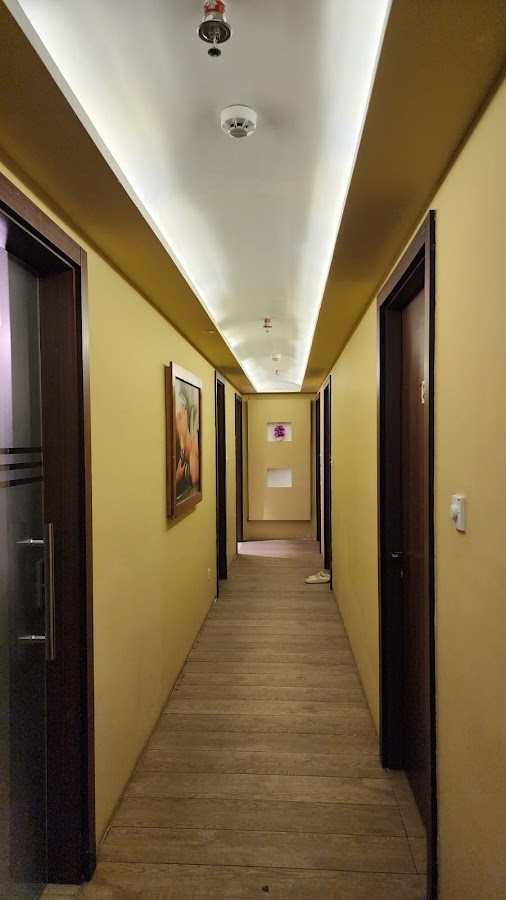Blossom Indian Spa — photo 2