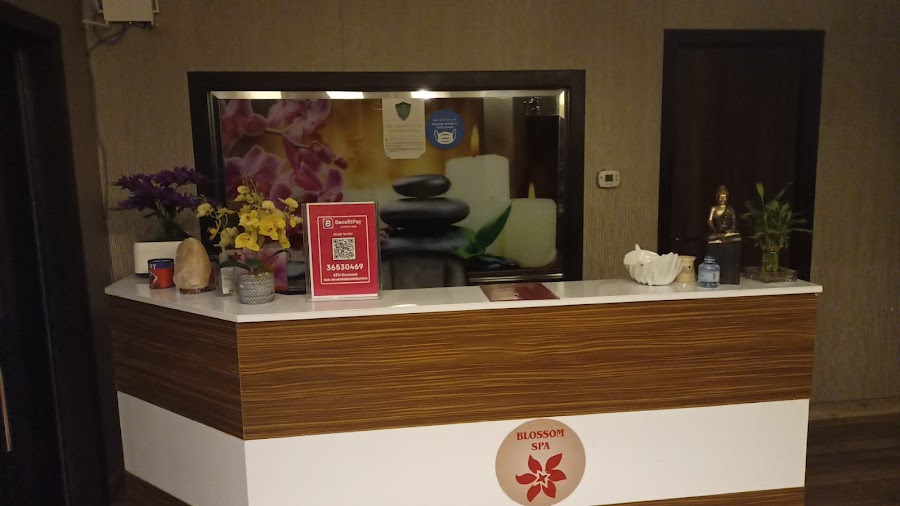 Banyan Spa — photo 2