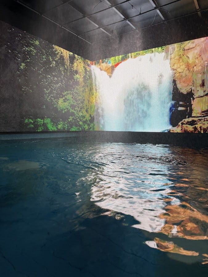 Cocoon Wellness Spa — photo 5