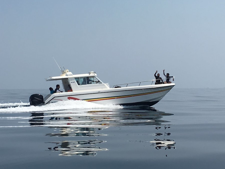 Sea Star Marine Services — photo 3