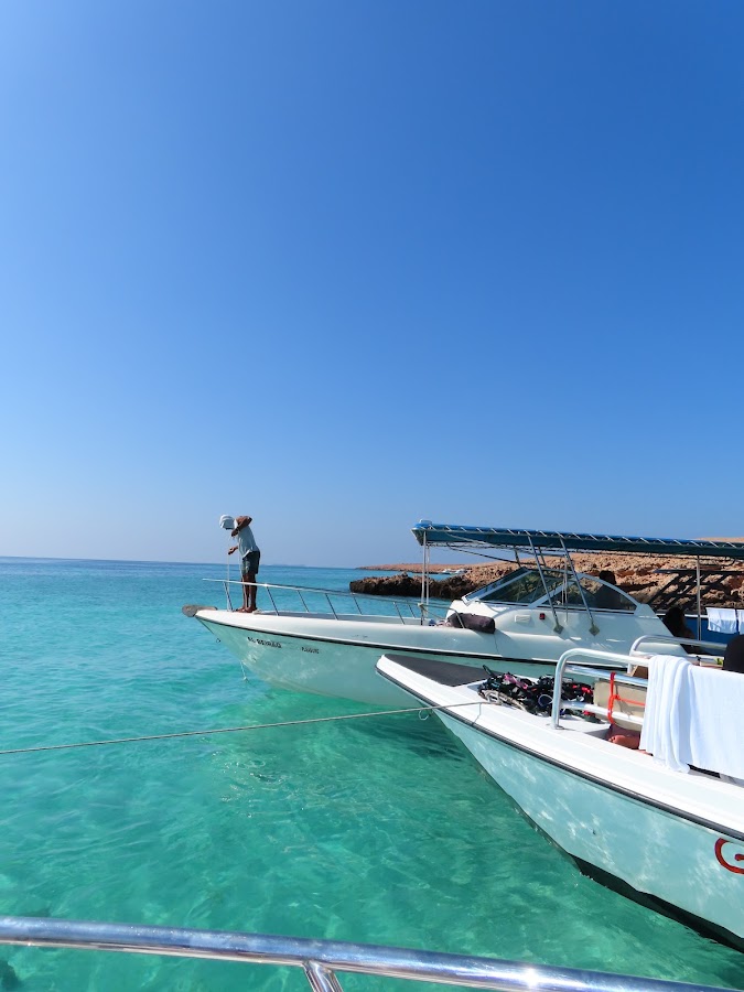 Daymaniyat Islands Sea Tours Oman — photo 3