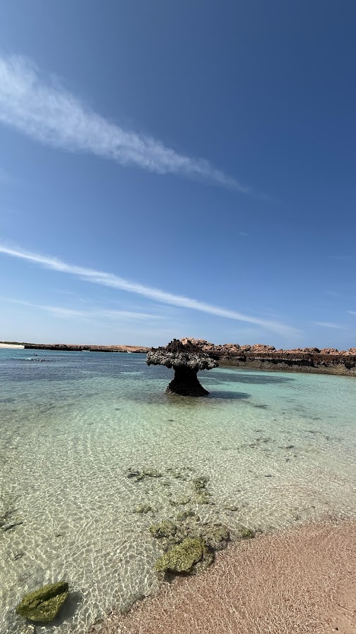 Daymaniyat Islands Sea Tours Oman — photo 4