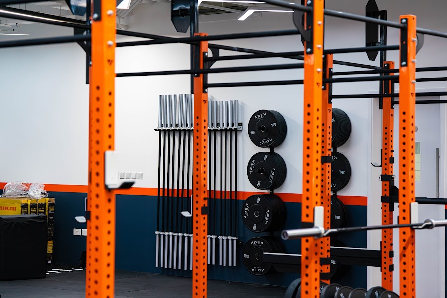 Apex Fitness — photo 5