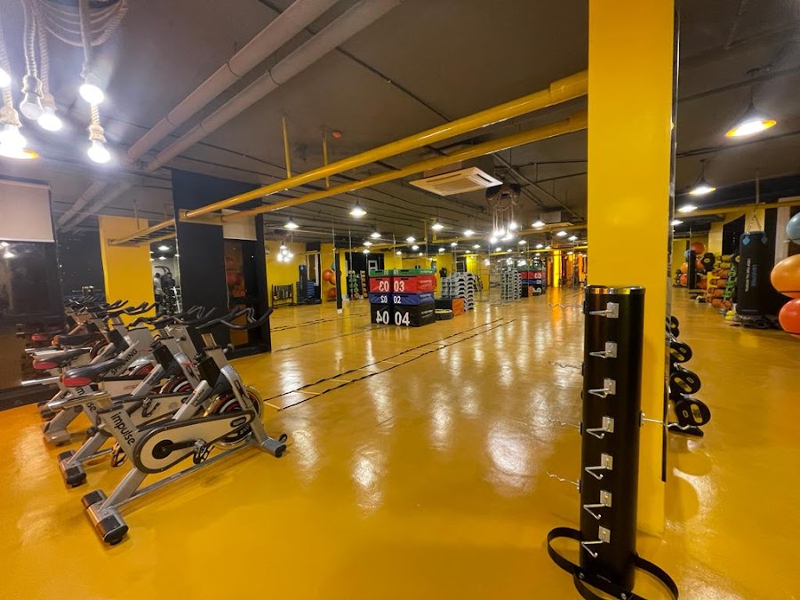 Platinum Gym - Bousher — photo 4
