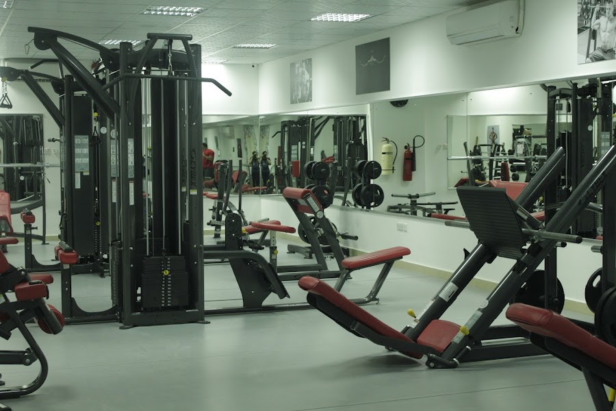 ELITE GYM — photo 4