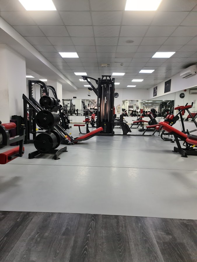 ELITE GYM — photo 5