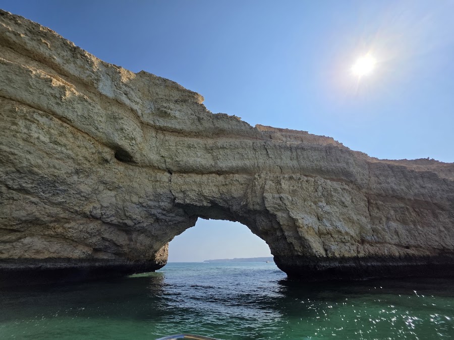 GCC Tours, Muscat - Dolphin Watching Offer