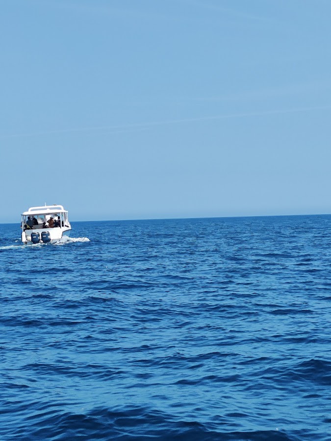 Nobles Marine Tours — photo 2