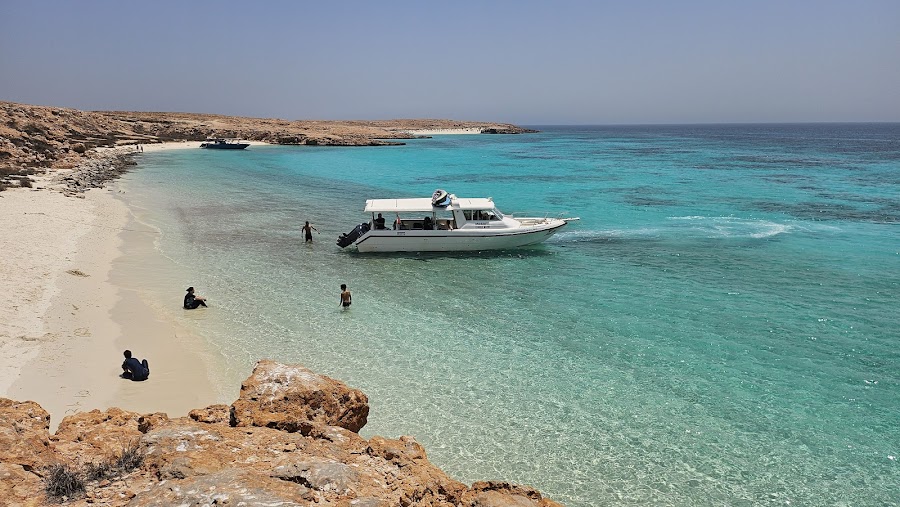 Nobles Marine Tours — photo 4