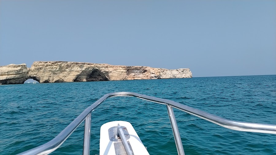 Nobles Marine Tours — photo 5