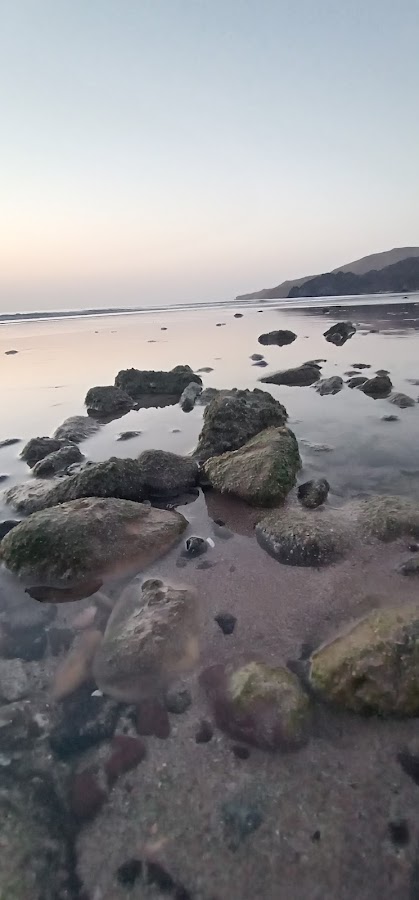Bioluminescence bustan beach — photo 2