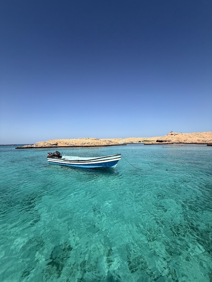 BlueWave Oman - Snorkeling & Boat Tours Muscat — photo 2