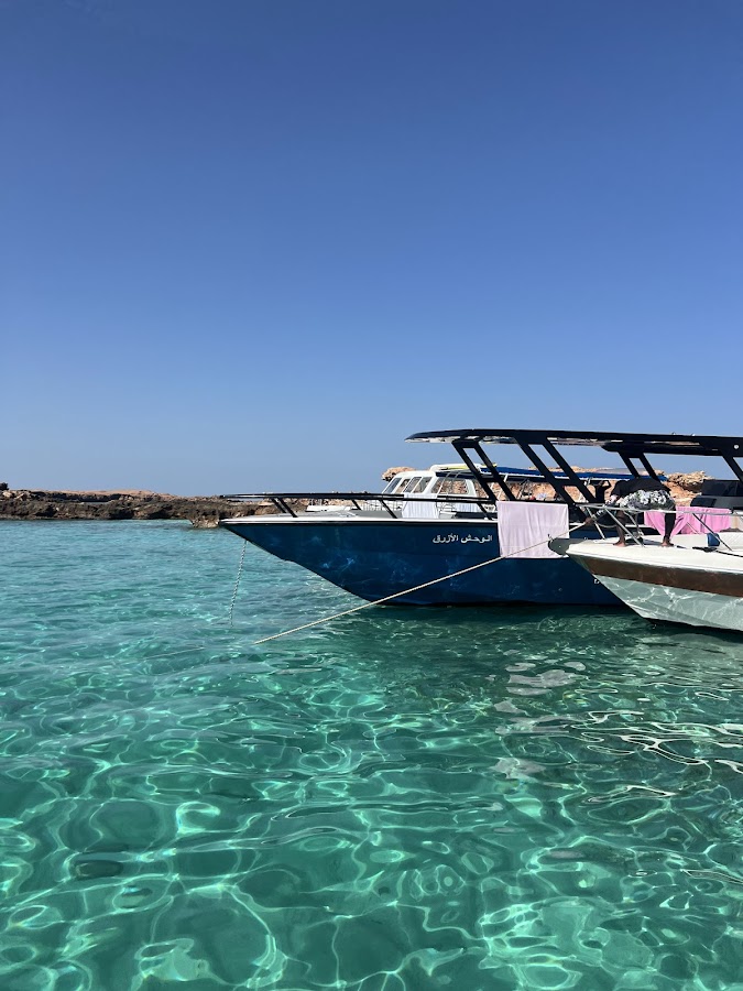BlueWave Oman - Snorkeling & Boat Tours Muscat — photo 3