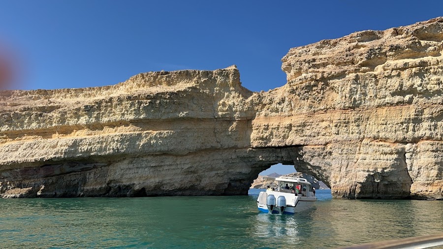 Royal Blue Marine Tourism - Best Sea Tours Operator In Muscat - Dolphin Watching — photo 3