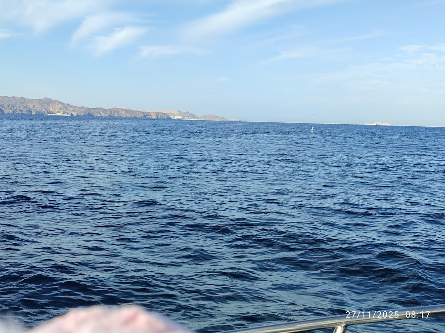 Dolphin Watching & Snorkeling Muscat - Discount Offer — photo 5